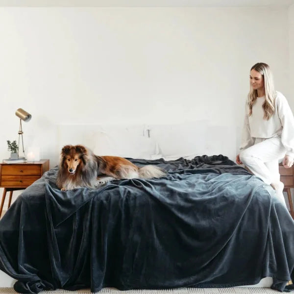 Factory Sale: Original Stretch™ Blanket