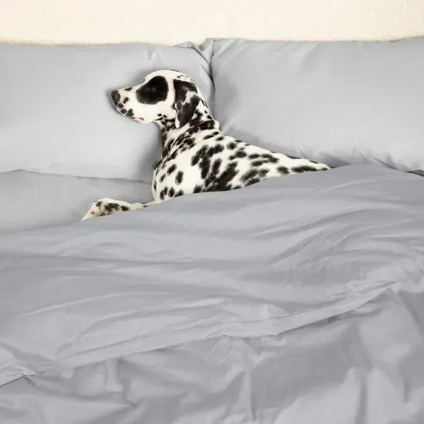 Sateen Dream™ Duvet Bundle