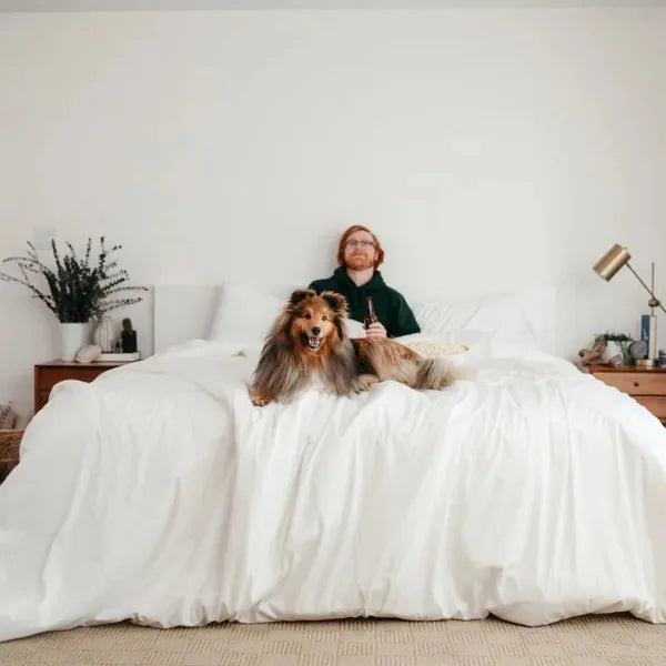 Sateen Dream™ Duvet Bundle