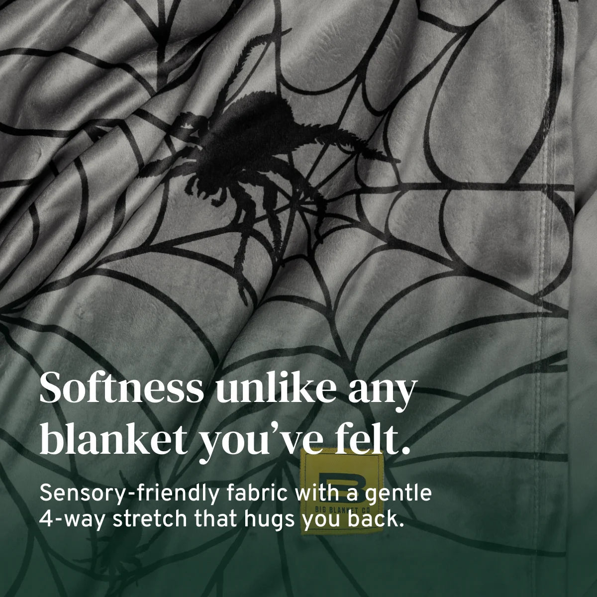 Midnight Web